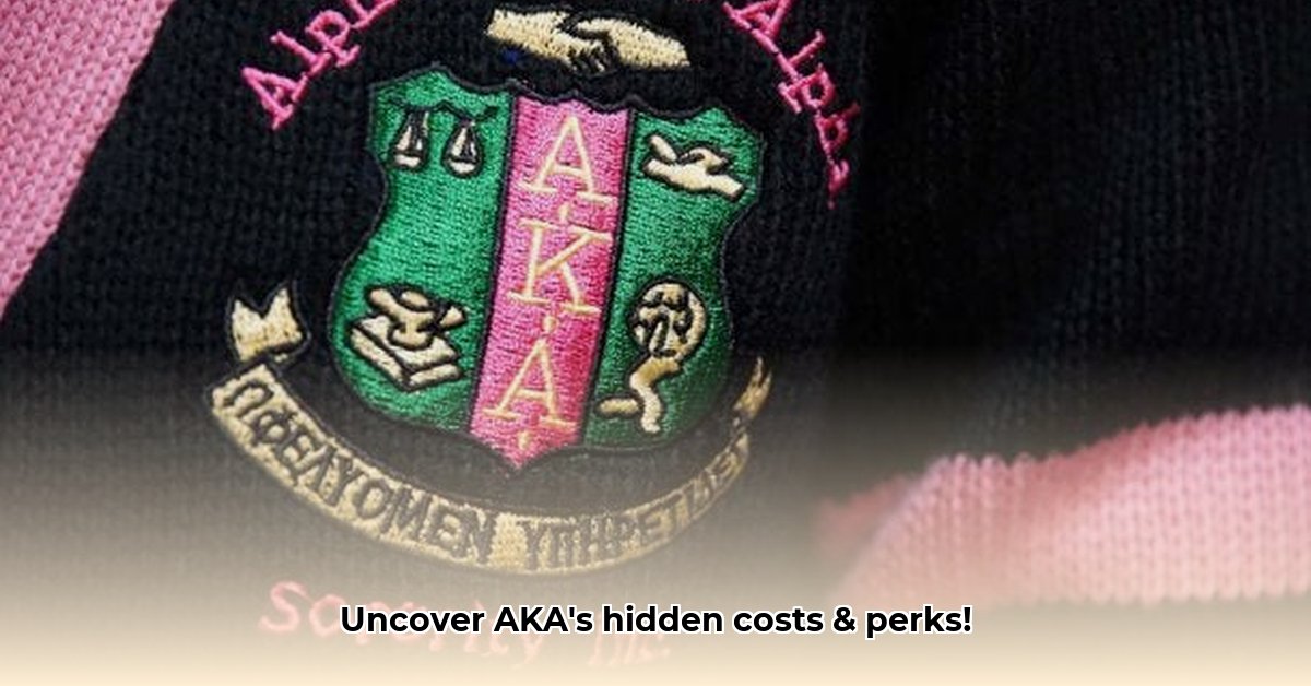 how-much-are-aka-dues